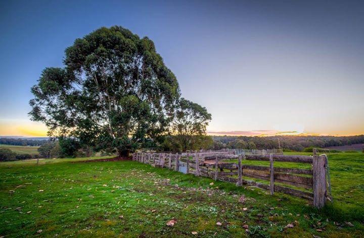 Dingup House Bed and Breakfast Manjimup Buitenkant foto